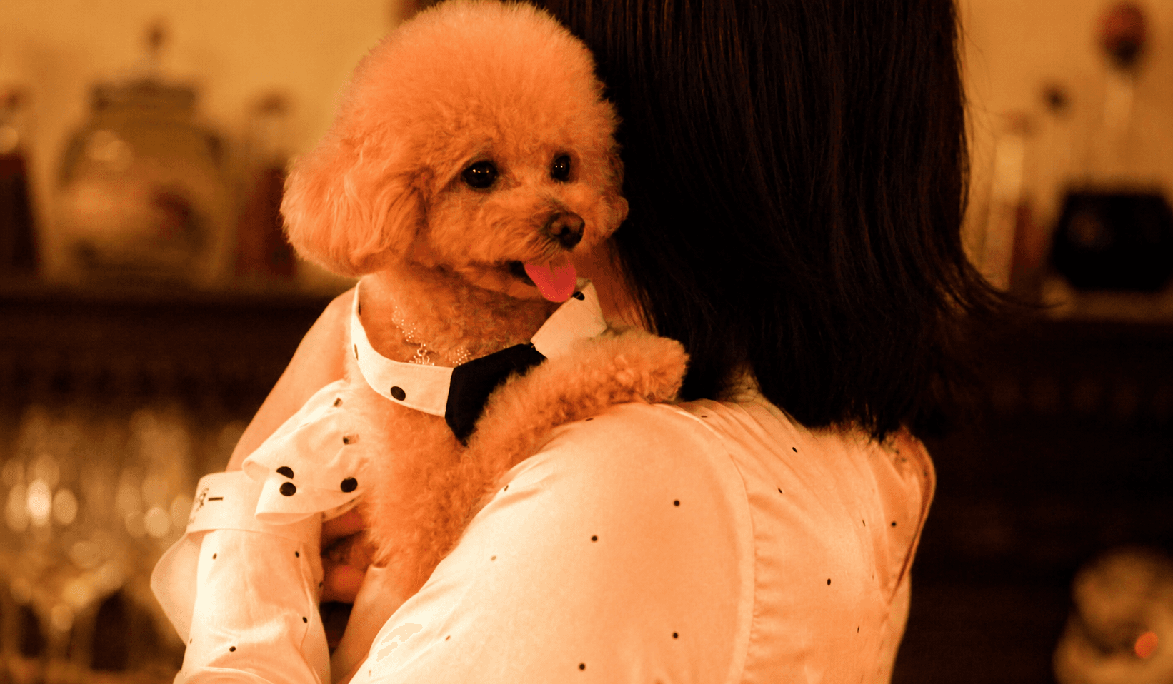 東カレDog EVENT